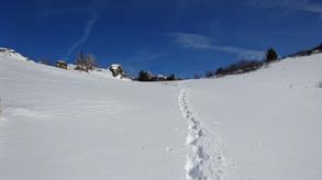 17 Seul dans la neige... 17 Seul dans la neige...